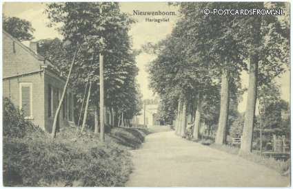 ansichtkaart: Nieuwenhoorn, Haringvliet