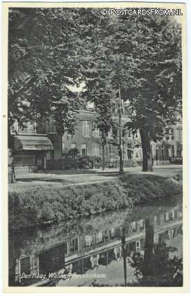 ansichtkaart: 's-Gravenhage, Waldeck Pyrmontkade