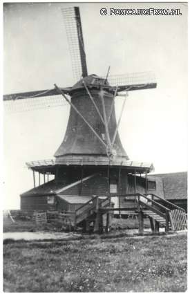 ansichtkaart: Westzaan, Pelmolen 'De Jonge Dolfijn' of 'Koperen Berg'. Gesloopt 1900