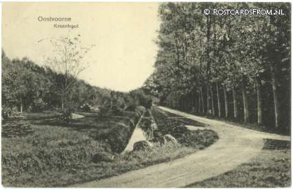 ansichtkaart: Oostvoorne, Kraanhout