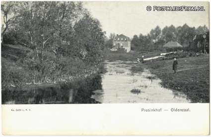 ansichtkaart: Oldenzaal, Prosinkhof