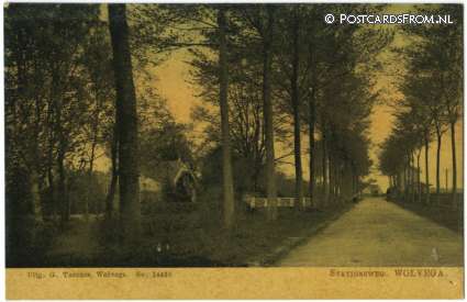 ansichtkaart: Wolvega, Stationsweg
