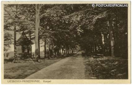 ansichtkaart: Princenhage, Liesbosch. Koepel