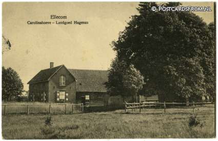 ansichtkaart: Ellecom, Carolinahoeve - Landgoed Hagenau