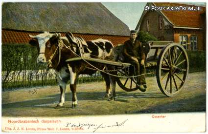 ansichtkaart: --, Noordbrabantsch dorpsleven. Ossenkar