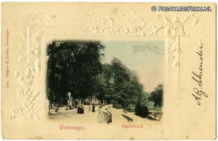 ansichtkaart: Groningen, Sterrebosch
