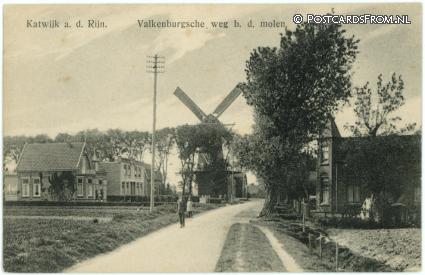 ansichtkaart: Katwijk ad Rijn, Valkenburgsche weg b.d. Molen