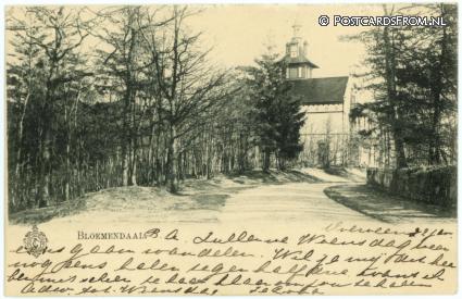 ansichtkaart: Bloemendaal, Villa 'De Berg'. Rijperweg