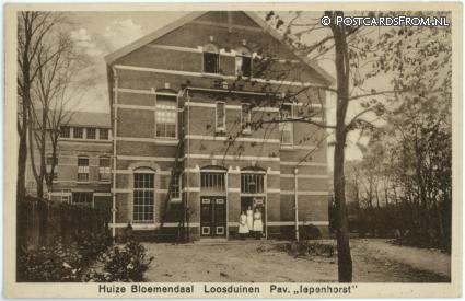ansichtkaart: Loosduinen, Huize Bloemendaal. Pav. 'Iepenhorst'