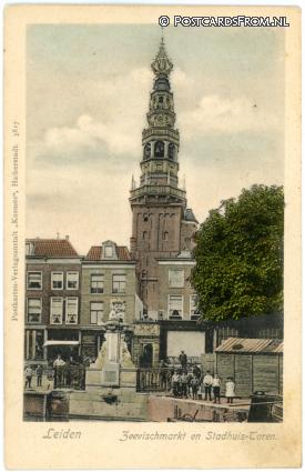 ansichtkaart: Leiden, Zeevischmarkt en Stadhuis-Toren