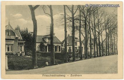 ansichtkaart: Zuidhorn, Frieschestraatweg