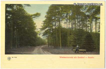 ansichtkaart: Ruurlo, Windmolenveld b.h. Doolhof