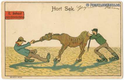 ansichtkaart: --, Hort Sek. E. Schaaf, Paardenslachter