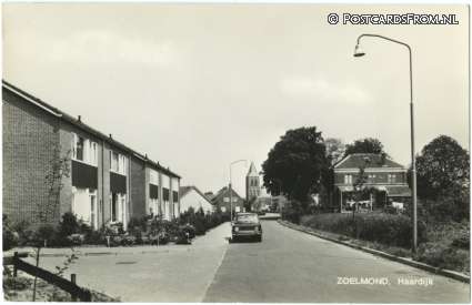 ansichtkaart: Zoelmond, Haardijk