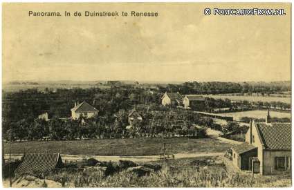 ansichtkaart: Renesse, Panorama. In de Duinstreek