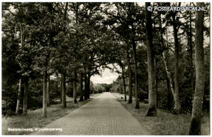 ansichtkaart: Beetsterzwaag, Wijnjeterperweg