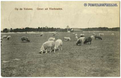 ansichtkaart: Vierhouten, Groet uit. Op de Veluwe
