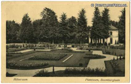 ansichtkaart: Hilversum, Plantsoen, Boomberglaan