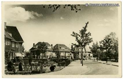 ansichtkaart: Haren GN, Westerschedrift