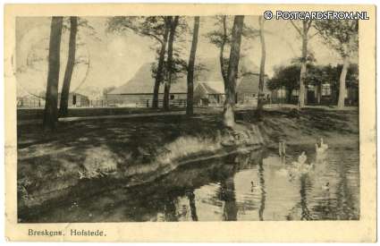 ansichtkaart: Breskens, Hofstede