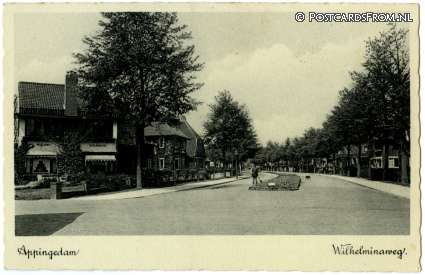 ansichtkaart: Appingedam, Wilhelminaweg