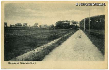 ansichtkaart: Nieuwenhoorn, Dorpsweg