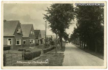 ansichtkaart: Haskerhorne, Nieuweweg