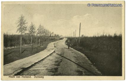 ansichtkaart: Hoek van Holland, Duinweg