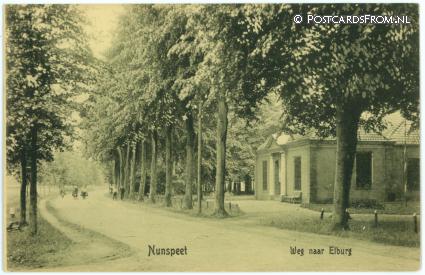 ansichtkaart: Nunspeet, Weg naar Elburg