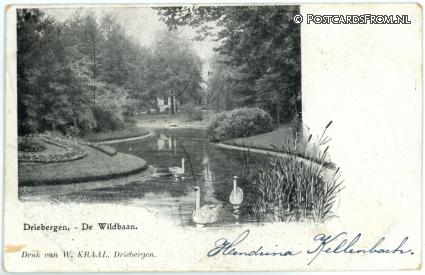 ansichtkaart: Driebergen, De Wildbaan
