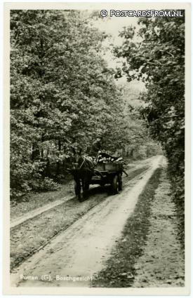 ansichtkaart: Putten, Boschgezicht
