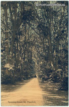 ansichtkaart: Haarlem, Spanjaardslaan