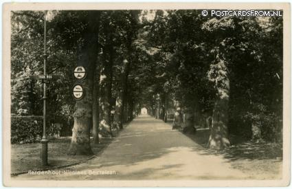 ansichtkaart: Aerdenhout, Nicolaas Beetslaan hoek Tramweg