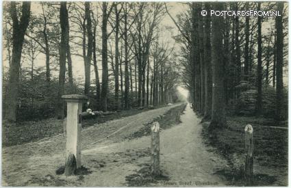 ansichtkaart: Ulvenhout, Nieuwe Dreef