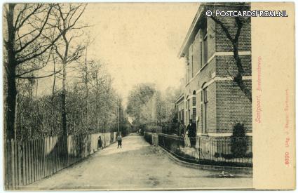 ansichtkaart: Santpoort, Brederoscheweg