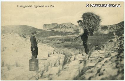 ansichtkaart: Egmond aan Zee, Duingezicht