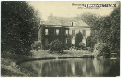 ansichtkaart: Brummen, Huize 'Rhienderstein'