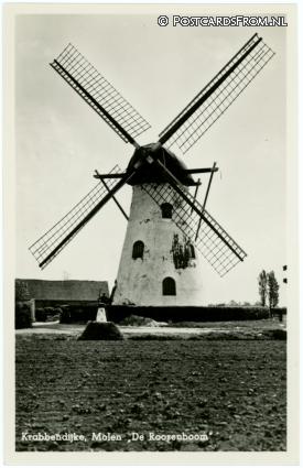 ansichtkaart: Krabbendijke, Molen 'De Roosenboom'