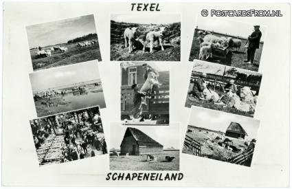 ansichtkaart: Texel, Schapeneiland