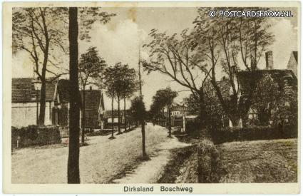 ansichtkaart: Dirksland, Boschweg