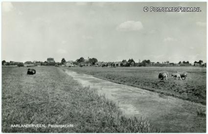 ansichtkaart: Aarlanderveen, Poldergezicht