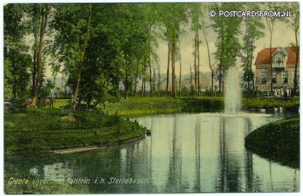 ansichtkaart: Winschoten, Groote vijver met fontein i.h. Sterrebosch