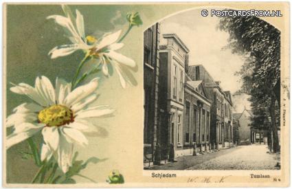 ansichtkaart: Schiedam, Tumlaan