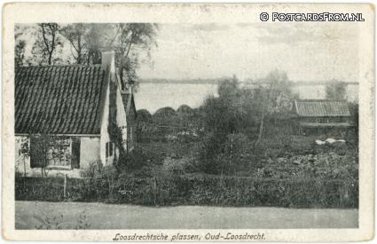 ansichtkaart: Oud-Loosdrecht, Loosdrechtsche plassen
