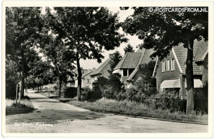 ansichtkaart: De Steeg, Parkweg