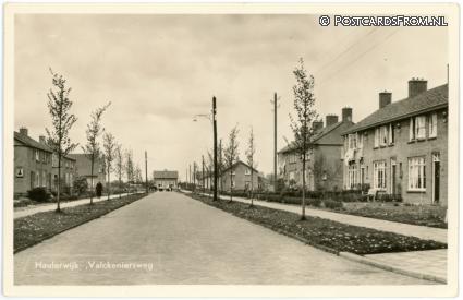 ansichtkaart: Haulerwijk, Valckeniersweg