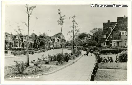 ansichtkaart: Dokkum, Altenastreek