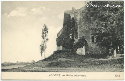 ansichtkaart: Voorst Gem Voorst, Ruine Nijenbeek