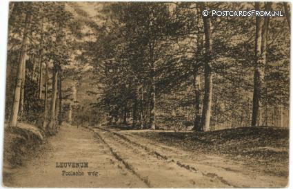 ansichtkaart: Ermelo Leuvenum, Poolsche weg