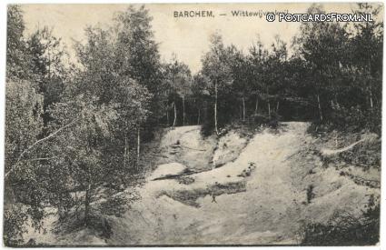 ansichtkaart: Barchem, Wittewijvenkuil